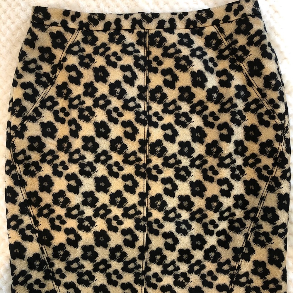Ann Taylor Pencil Skirt